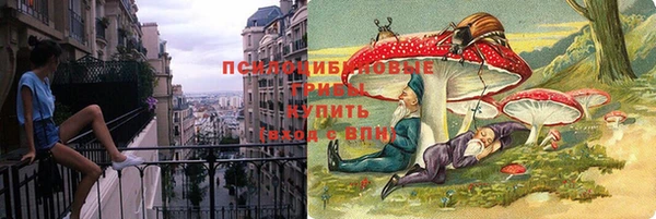 spice Няндома
