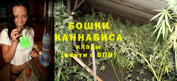 spice Няндома
