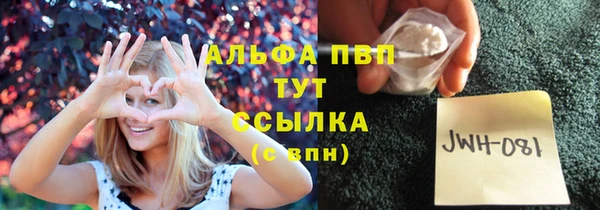 spice Няндома