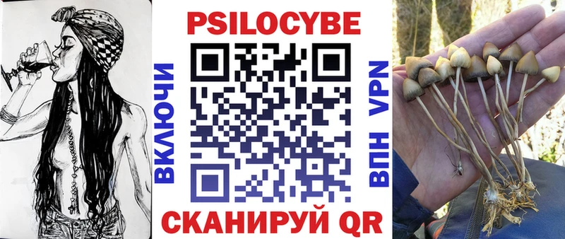 Купить  Строитель  Галлюциногенные грибы Cubensis 